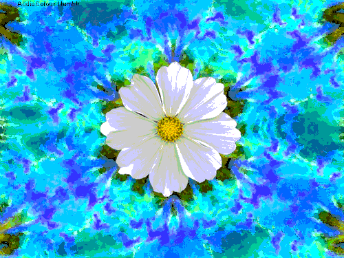 PsychedelicFlower