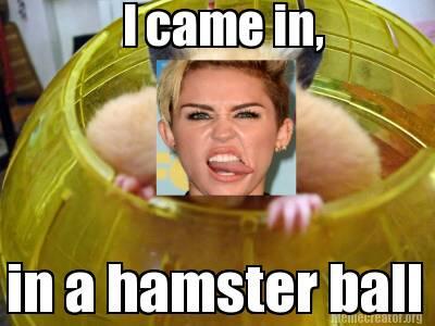 MileyHamster