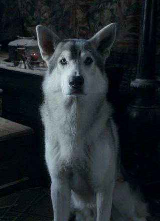 GOT-Nymeria
