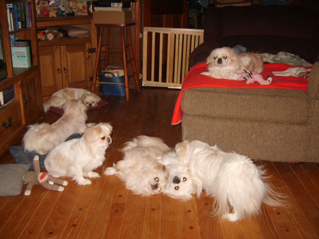 GroupShot