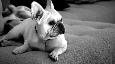 SweetHomeOklahomaTubbers