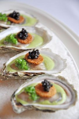 Oysters