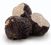 Truffles2