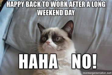 WeekendGrumpyCat