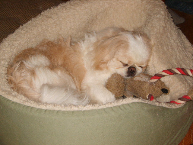 Donovan-August2-2010