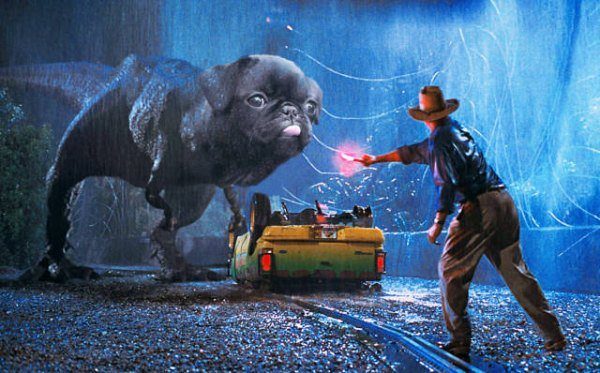 Pug-jurassic-pug