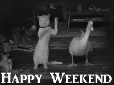 Weekend-Kitty&amp;Duck