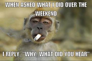 WeekendMonkey