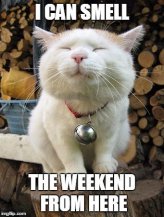 WeekendSmell