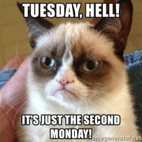 TuesdayGrumpyCat2