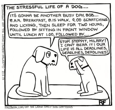 DogLifeCartoon