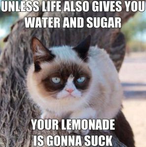 GrumpyCatWisdom