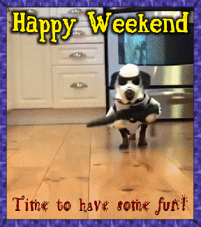 WeekendPup4.gif