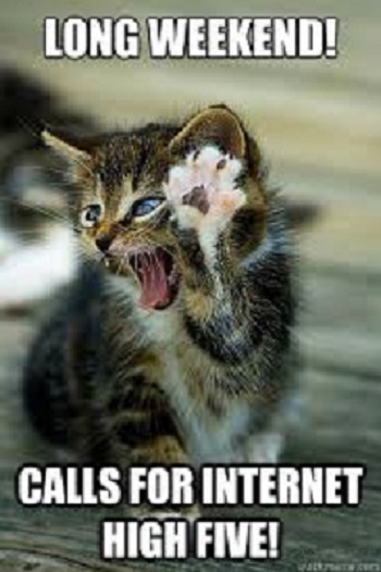 LongWeekendKitty