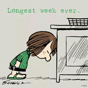 LongWeek2
