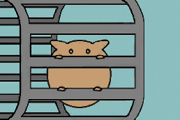 HamsterWheel3