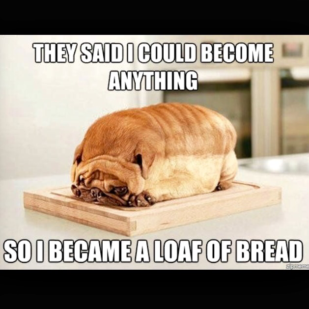 loaf