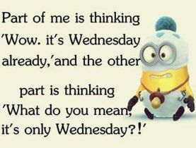 wednesdayminions