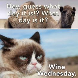 wednesdaywine