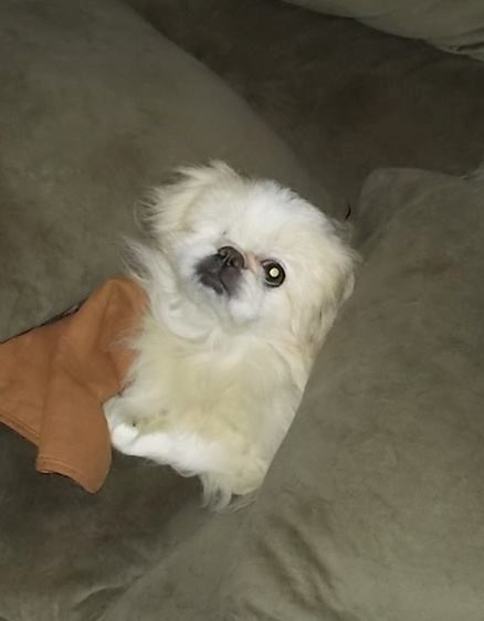 Casey-August26-2016 (3)