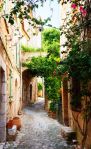 Provence7