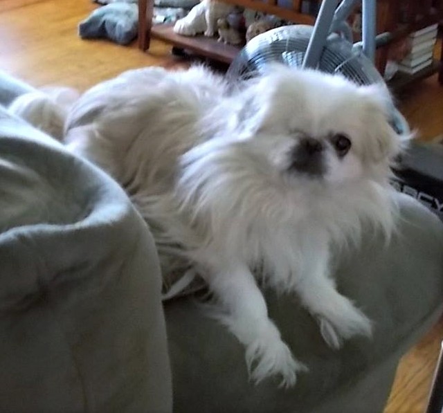 Casey-December14-2013 (3)