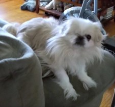 Casey-December14-2013 (3)